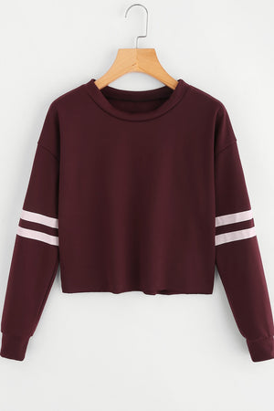 Striped Sleeve Sweatshirt