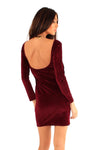 Wine Velvet Dress