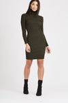 Demi Turtle Neck Dress