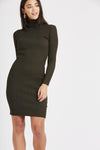 Demi Turtle Neck Dress