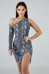 Zoe Snake Shoulder Dress
